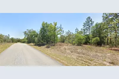 0 SW 73rd Lane, Dunnellon, FL 34431 - Photo 2