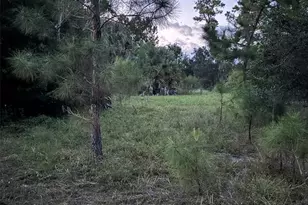 30735-30745 Devon Ct, Eustis, FL 32736 - Photo 1