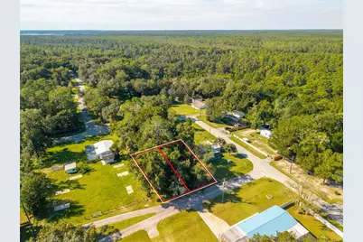Magnolia Road, Altoona, FL 32702 - Photo 8