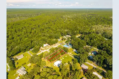 Magnolia Road, Altoona, FL 32702 - Photo 12