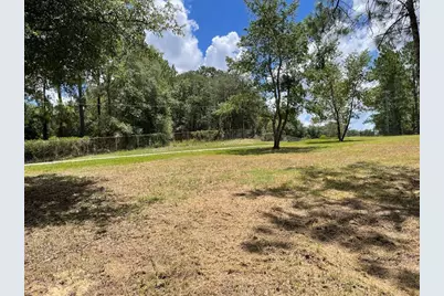 Calhoun Road, Eustis, FL 32726 - Photo 8