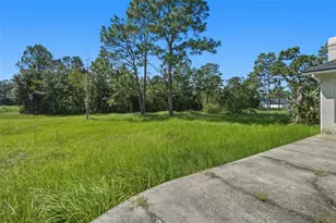 19562 Majestic St, Orlando, FL 32833 - Photo 44