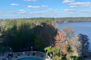 13427 Blue Heron Beach Dr, Orlando, FL 32821 - Photo 32