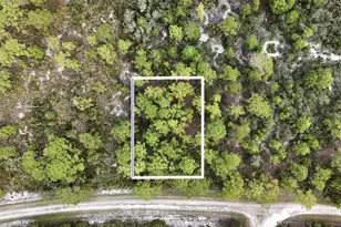 1137 Redbird St, Lake Placid, FL 33852 - Photo 1