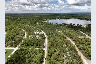 1137 Redbird Street, Lake Placid, FL 33852 - Photo 4