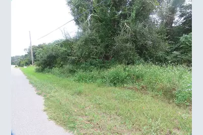 17701 Seidner Road, Winter Garden, FL 34787 - Photo 2