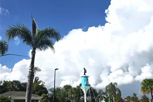 16515 Barbours Crk Wy, Winter Garden, FL 34787 - Photo 16