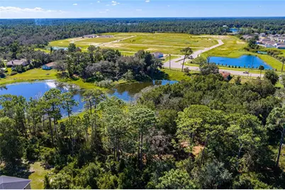 N/A Doyle Rd, Osteen, FL 32764 - Photo 30