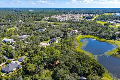 N/A Doyle Rd, Osteen, FL 32764 - Photo 24