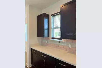 6325 Flat Lemon Drive, Winter Garden, FL 34787 - Photo 10