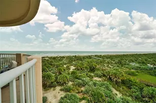 253 Minorca Beach Way, New Smyrna Beach, FL 32169 - Photo 82