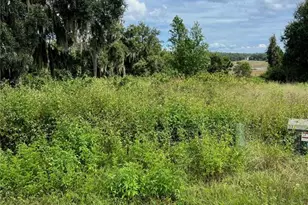 475 Long And Winding Rd, Howey in the Hills, FL 34737 - Photo 1