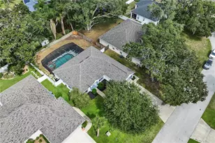 10427 Pleasant View Dr, Leesburg, FL 34788 - Photo 2