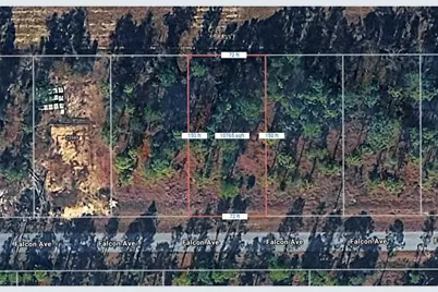 Nw Falcon Avenue, Dunnellon, FL 34431 - Photo 4