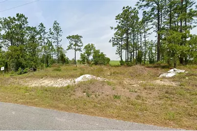 Nw Falcon Avenue, Dunnellon, FL 34431 - Photo 2