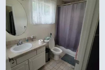 206 Fearon Avenue, Mount Dora, FL 32757 - Photo 10