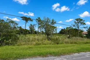 00 Nettleton St, Orlando, FL 32833 - Photo 1