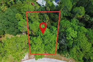 65 Port Royal Dr, Palm Coast, FL 32164 - Photo 1