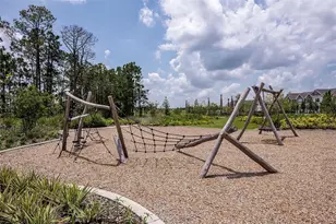 14791 Field Daisy Dr, Winter Garden, FL 34787 - Photo 34