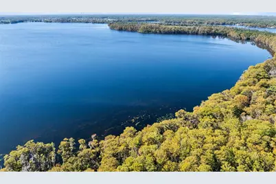 2670 Mills Creek Road, Chuluota, FL 32766 - Photo 48