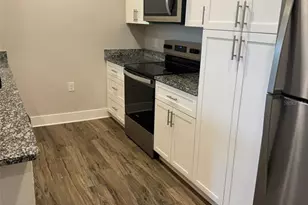 2400 Peaceful River, Mount Dora, FL 32757 - Photo 14