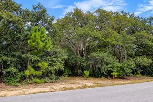 Tbd SE Malauka Loop Run Rd, Ocklawaha, FL 32179 - Photo 1