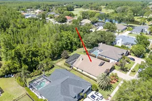 18806 Chemille Dr, Lutz, FL 33558 - Photo 52