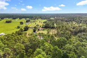 21320 Paradise Way, Eustis, FL 32736 - Photo 92