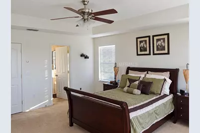 14732 Arctic Tern Lane, Winter Garden, FL 34787 - Photo 8