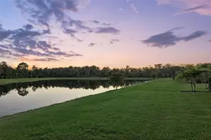 9542 Petition Wy, Orlando, FL 32832 - Photo 42