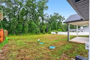 381 Carriage Ln, Lady Lake, FL 32159 - Photo 56