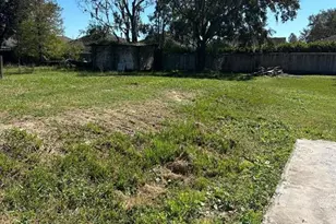 26326 Foamflower Blvd, Wesley Chapel, FL 33544 - Photo 4