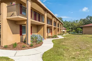 744 Spring West Rd, Orlando, FL 32818 - Photo 12