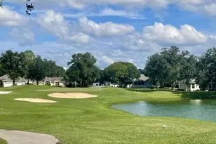 2038 Braxton St, Clermont, FL 34711 - Photo 40