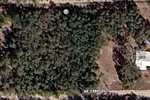 NE 238th Pl, Fort Mc Coy, FL 32134 - Photo 1