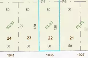 1027 W Livingston St, Orlando, FL 32805 - Photo 1