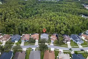 507 Canary Island Ct, Orlando, FL 32828 - Photo 42