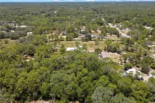 6388 W Oaklawn St, Homosassa, FL 34446 - Photo 44