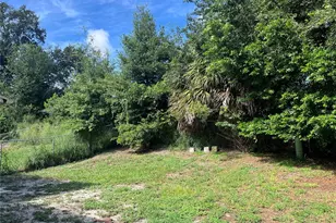 805 Sleepy Harbour Dr, Ocoee, FL 34761 - Photo 16