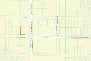 00000 NE 150th Ln, Fort Mc Coy, FL 32134 - Photo 1