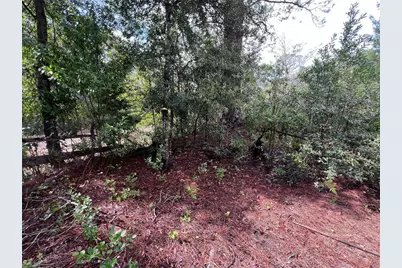 604 Del Monaco Ave, Interlachen, FL 32148 - Photo 72