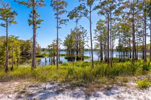 468 Black Lake Rd, Osteen, FL 32764 - Photo 56