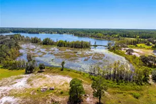 468 Black Lake Rd, Osteen, FL 32764 - Photo 60