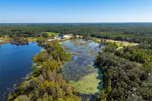 468 Black Lake Rd, Osteen, FL 32764 - Photo 62