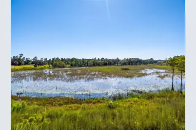 468 Black Lake Road, Osteen, FL 32764 - Photo 64