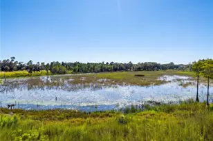 468 Black Lake Rd, Osteen, FL 32764 - Photo 64