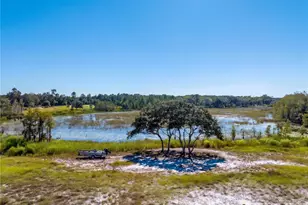 468 Black Lake Rd, Osteen, FL 32764 - Photo 66