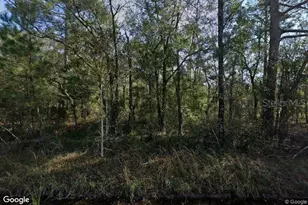 10100 Vaughan Ave, Hastings, FL 32145 - Photo 1