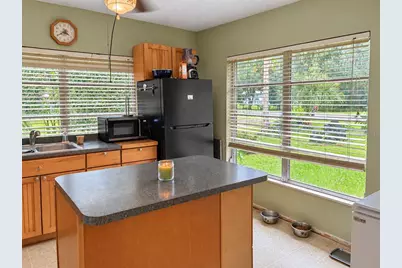 131 Katrina Street, De Leon Springs, FL 32130 - Photo 10