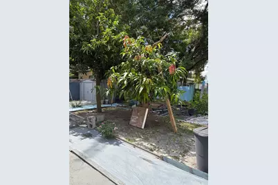 104 S Observatory Drive, Orlando, FL 32835 - Photo 16